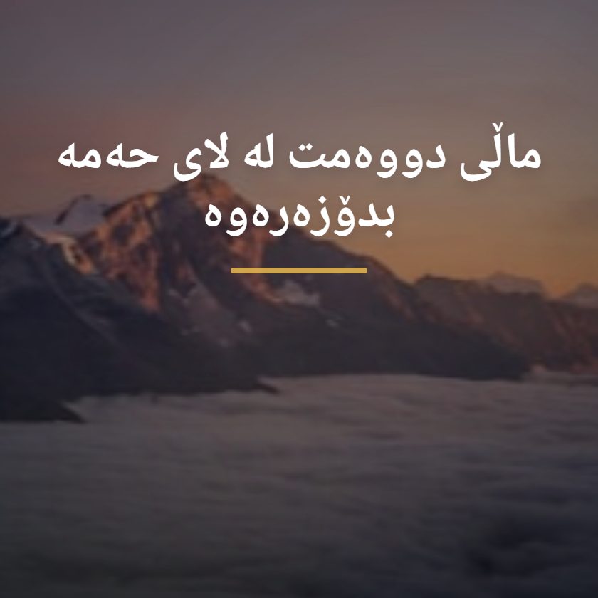 هۆتێلەکانی لای حەمە